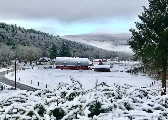 The Blue House On The Hill Catskills—Views